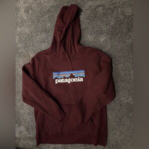 Patagonia Burgundy Hoodie